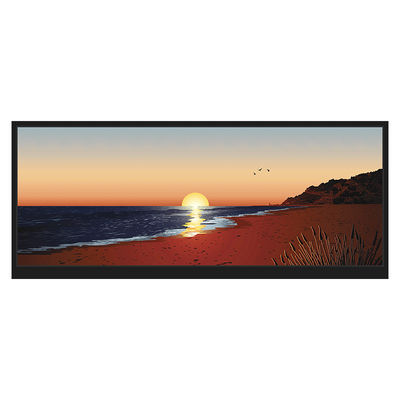 Дюйм 1920x720 LCM-TFT123T61FHHDVNSDC дисплея 12,3 солнечного света читаемый HDMI LCD